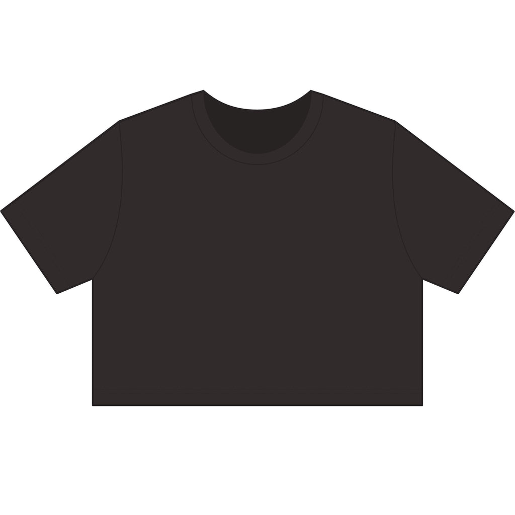 Women's Stonewash Cropped Tee — Vintage Gray Crop T-Shirt