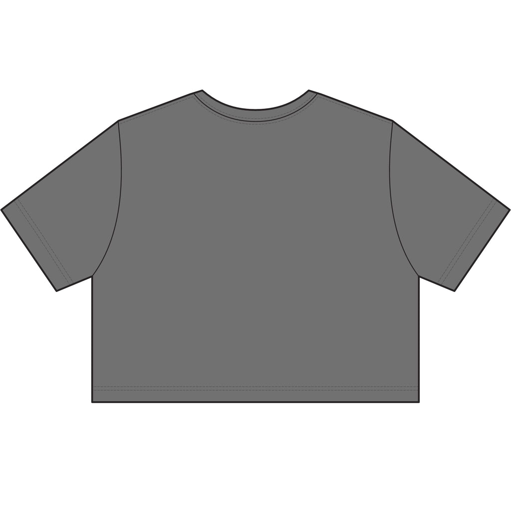Women's Stonewash Cropped Tee — Vintage Gray Crop T-Shirt