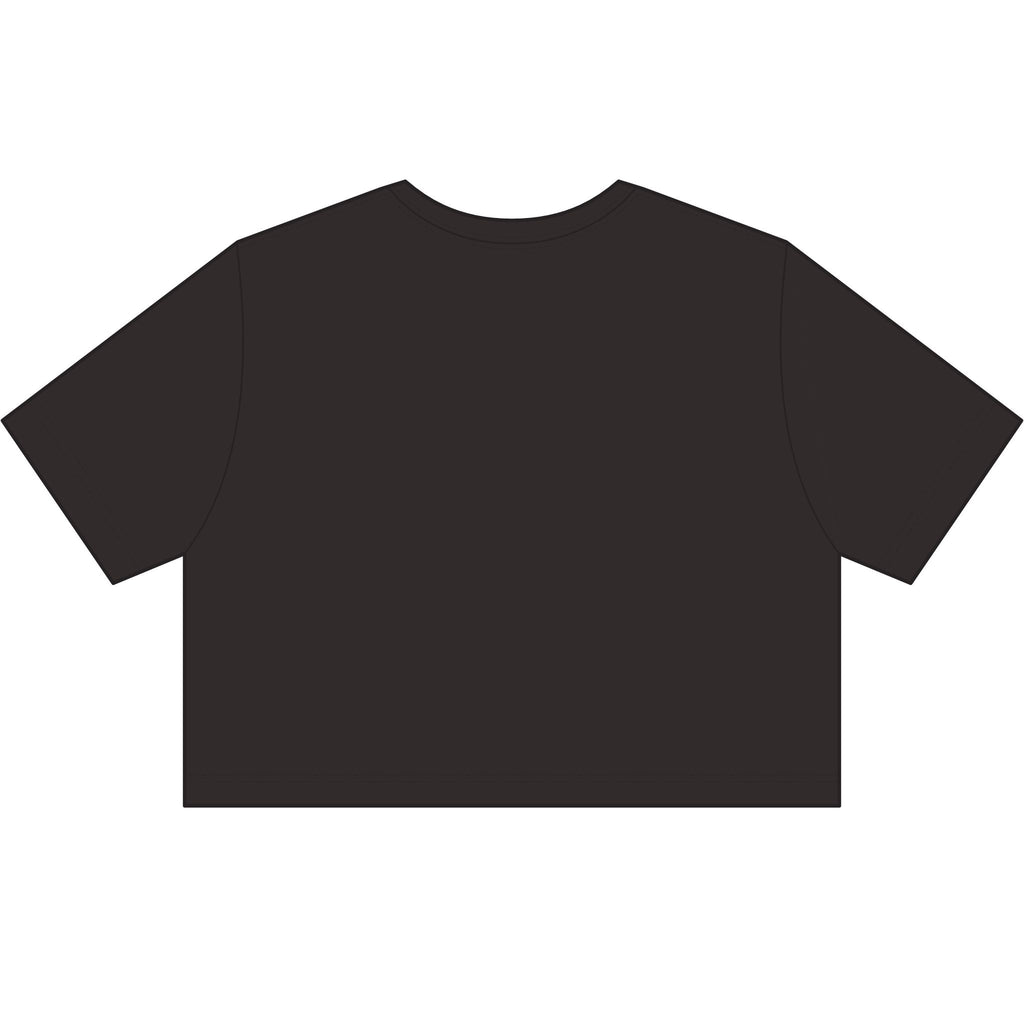 Women's Stonewash Cropped Tee — Vintage Gray Crop T-Shirt