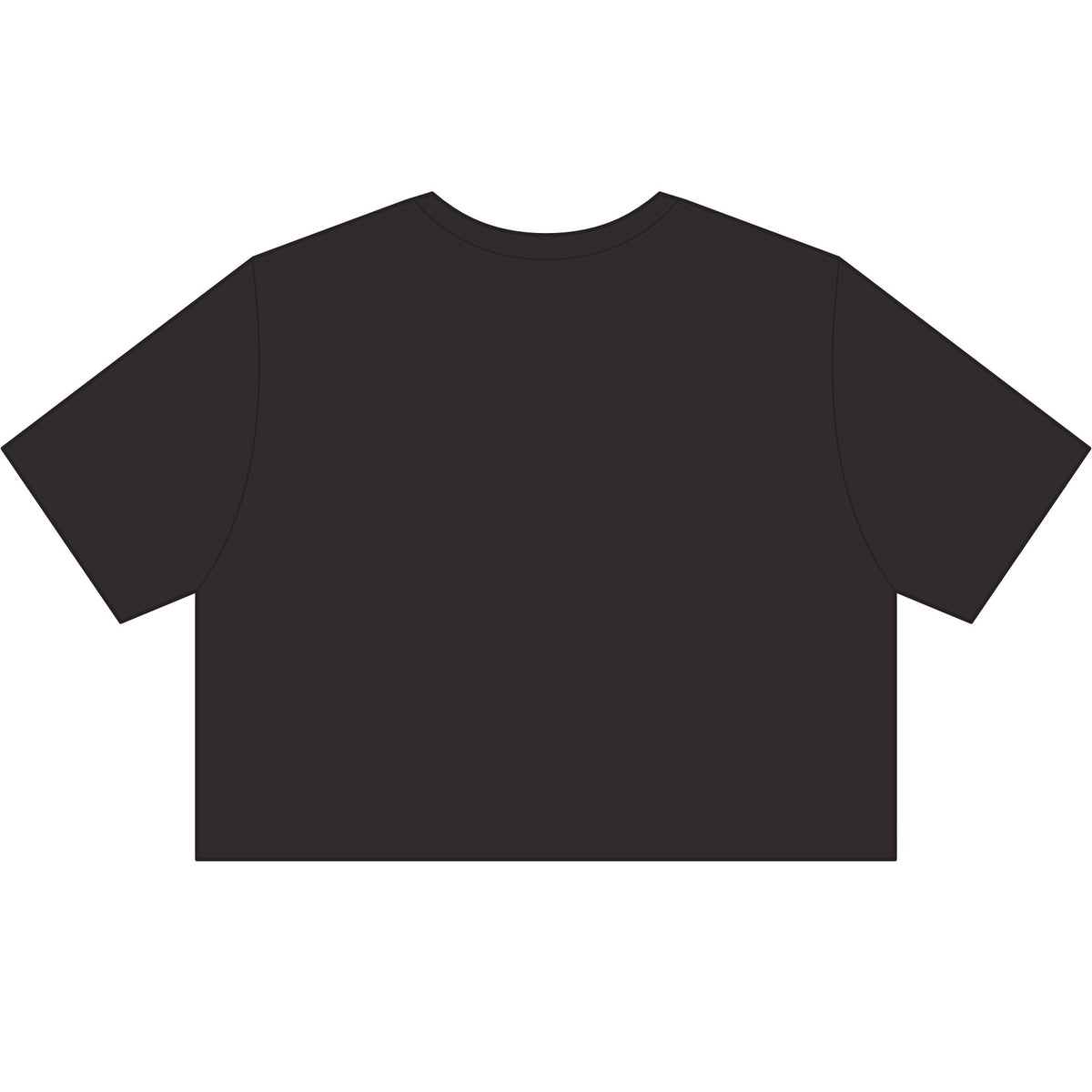 Women's Stonewash Cropped Tee — Vintage Gray Crop T-Shirt