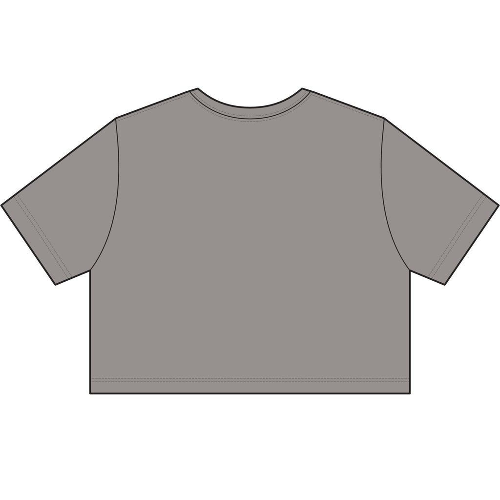Women's Stonewash Cropped Tee — Vintage Gray Crop T-Shirt